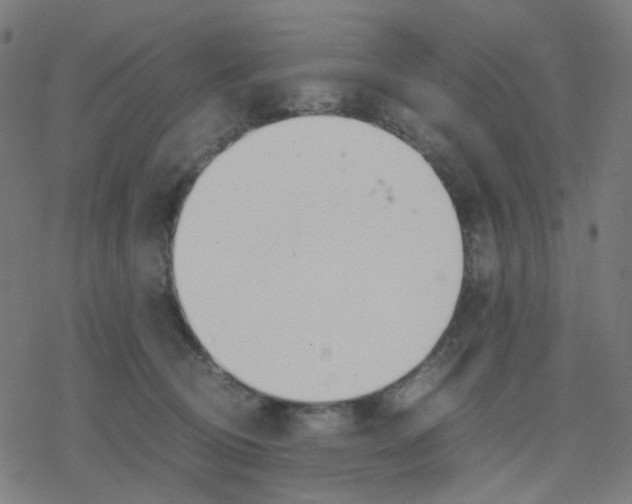 X0000078240370200612011610