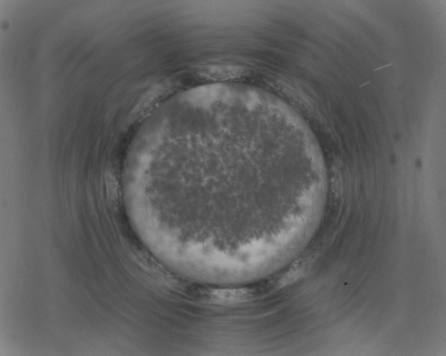 X0000078240371200612011610