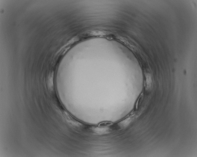 X0000078240372200612011610