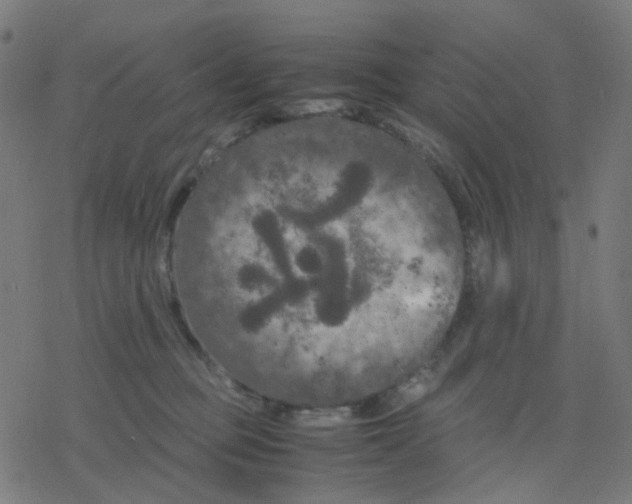 X0000078240373200612011610