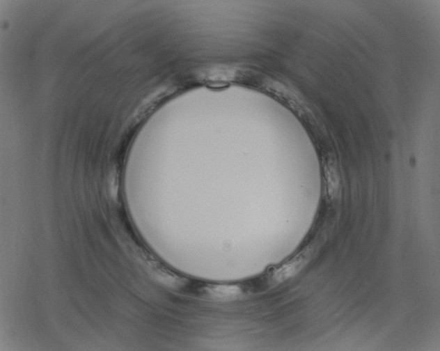 X0000078240374200612011610