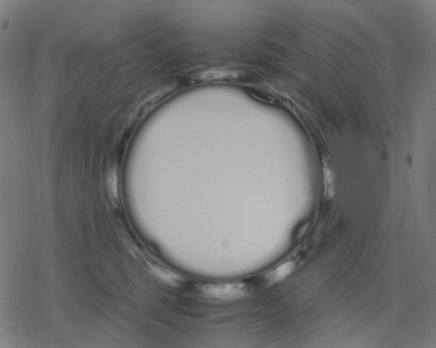 X0000078240375200612011610