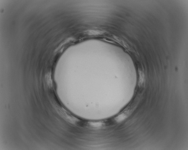 X0000078240376200612011610