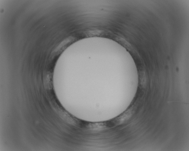 X0000078240378200612011611