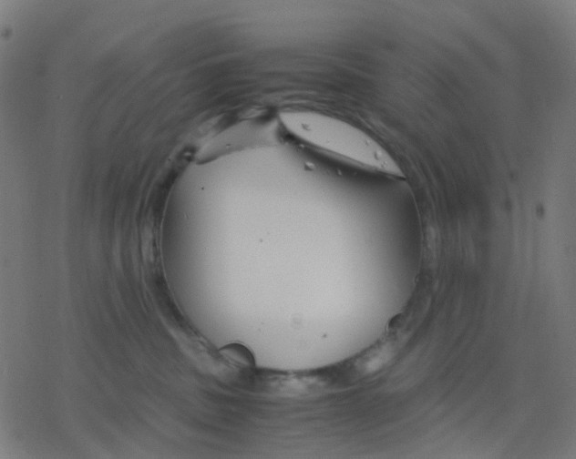 X0000078240379200612011611