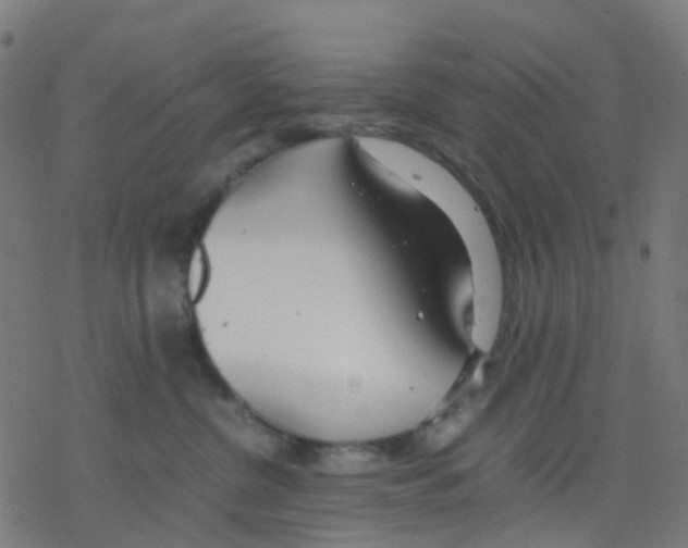 X0000078240380200612011611