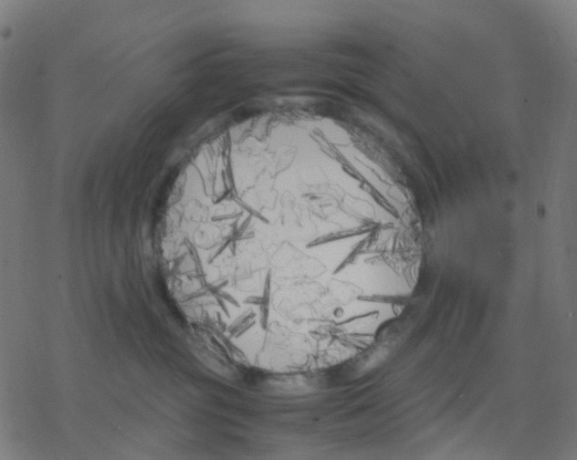 X0000078240381200612011611