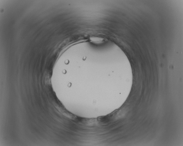 X0000078240384200612011611