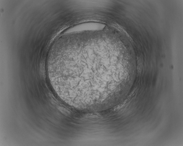 X0000078240386200612011610