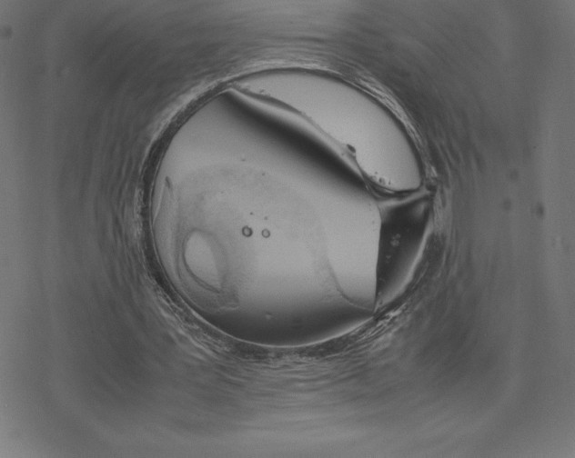 X0000078240387200612011610