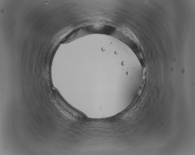 X0000078240389200612011610