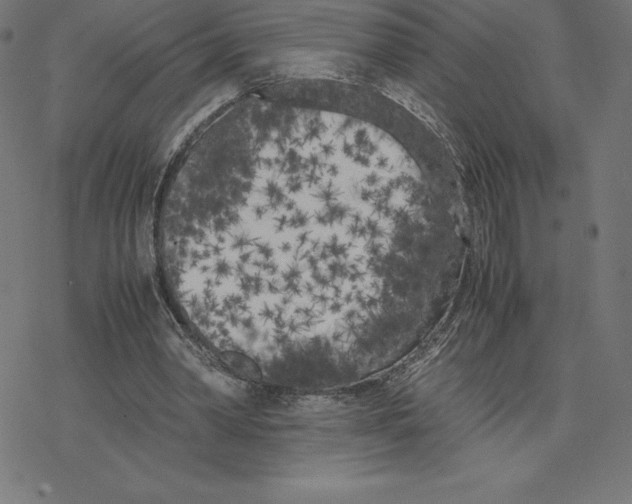 X0000078240390200612011610