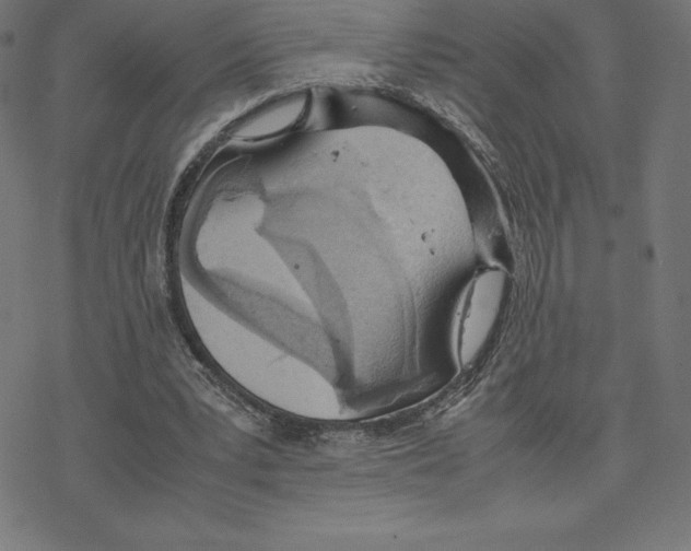 X0000078240391200612011610