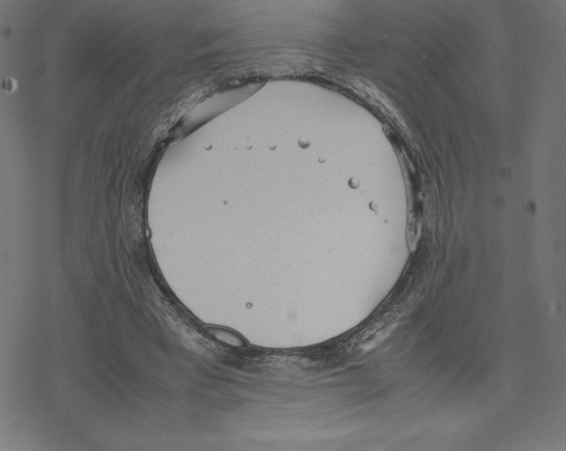 X0000078240393200612011610