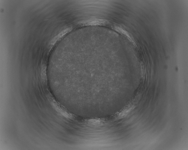 X0000078240394200612011610