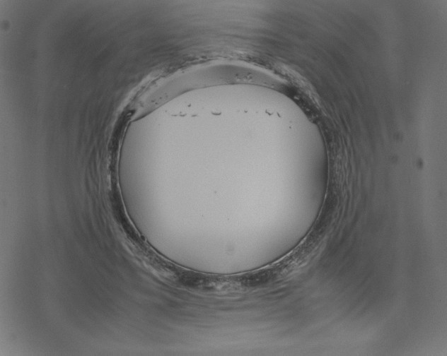 X0000078240395200612011610