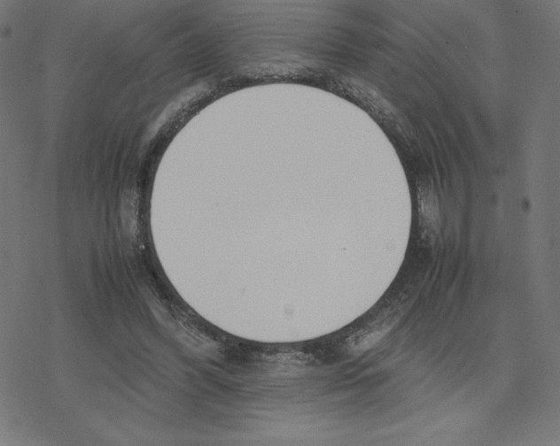 X0000078240396200612011610