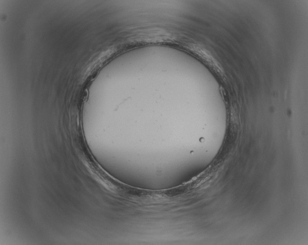 X0000078240397200612011610