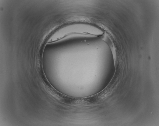 X0000078240399200612011610