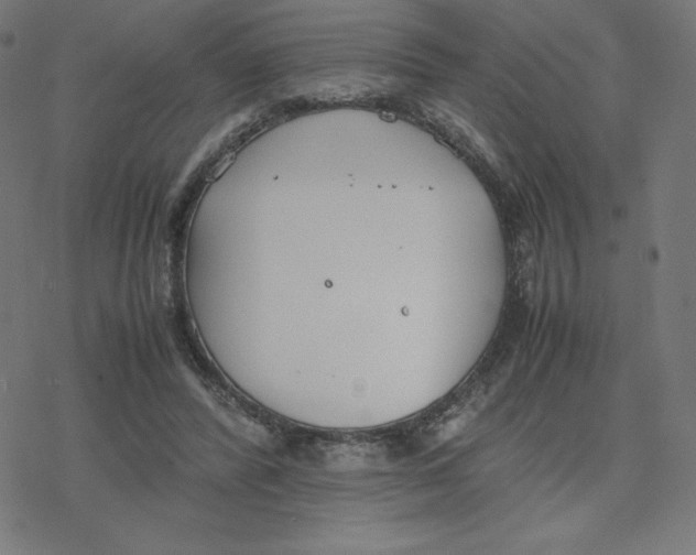 X0000078240400200612011610