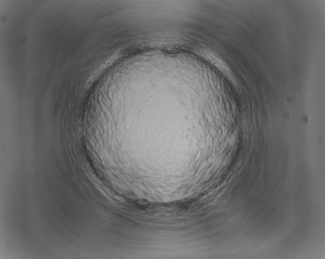 X0000078240401200612011610