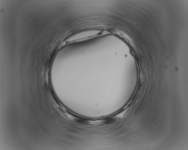 X0000078240405200612011609