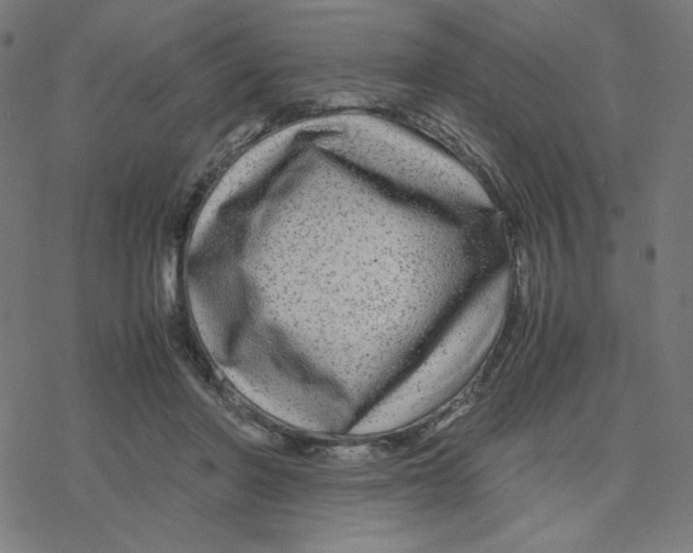 X0000078240406200612011609