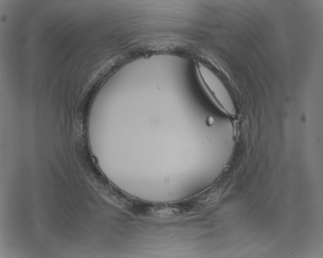 X0000078240407200612011609