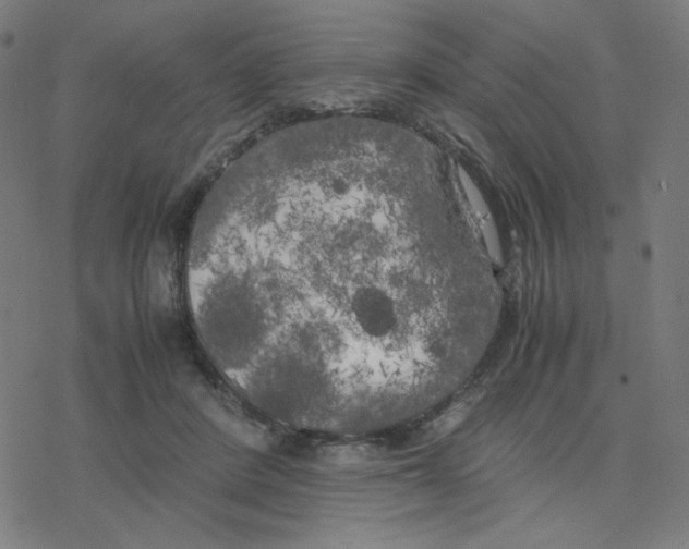 X0000078240408200612011609