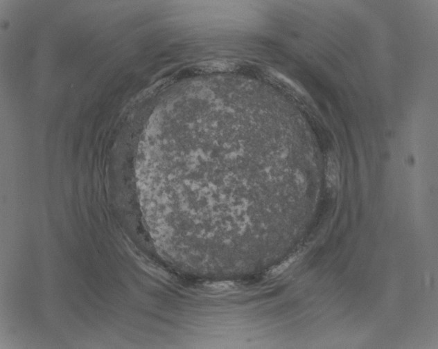 X0000078240409200612011609