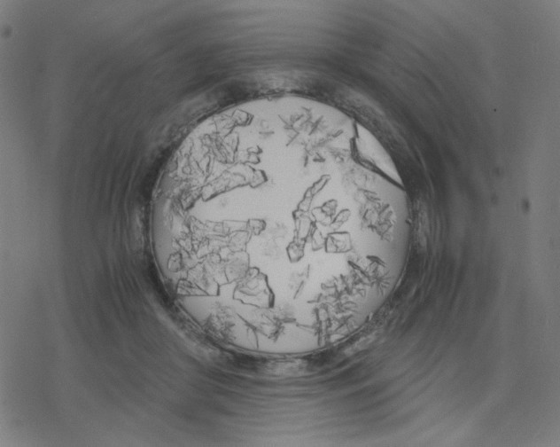 X0000078240410200612011609