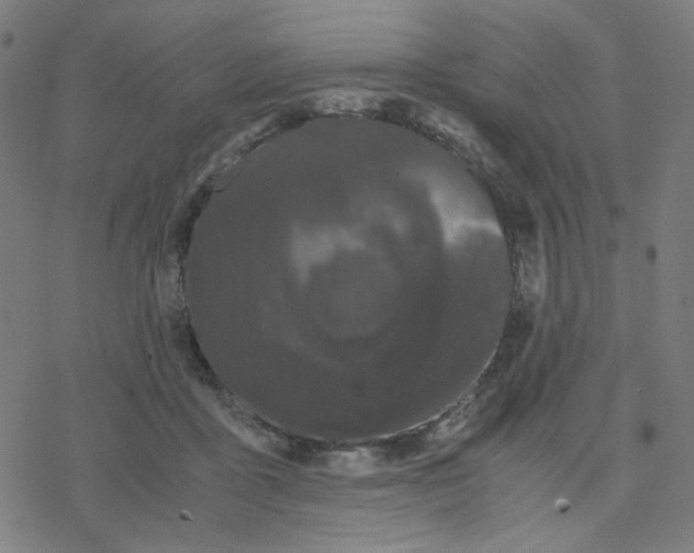 X0000078240411200612011609