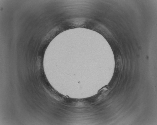 X0000078240412200612011609