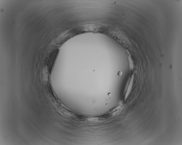 X0000078240413200612011609