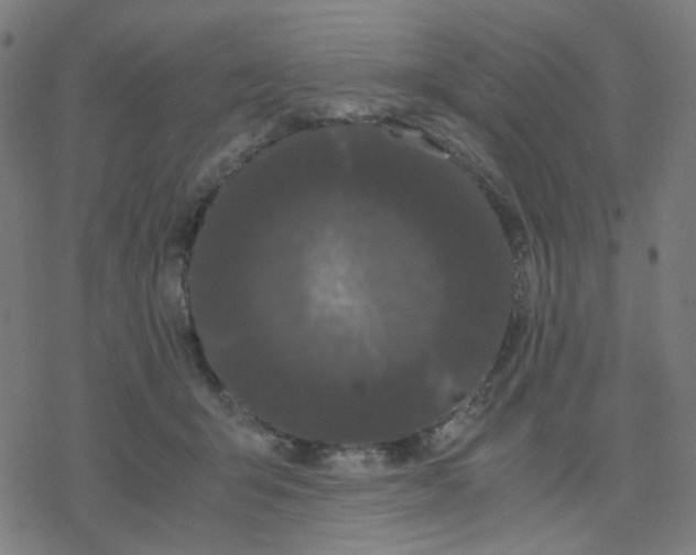 X0000078240415200612011609