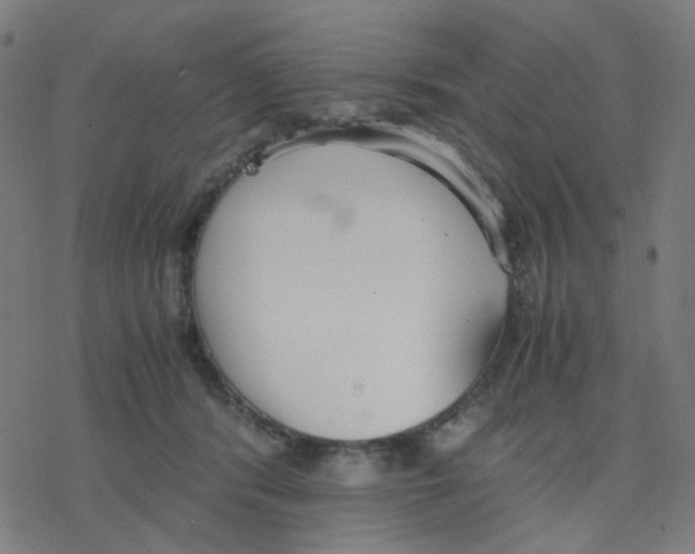 X0000078240416200612011609