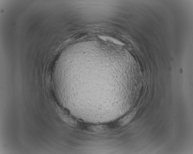 X0000078240417200612011609