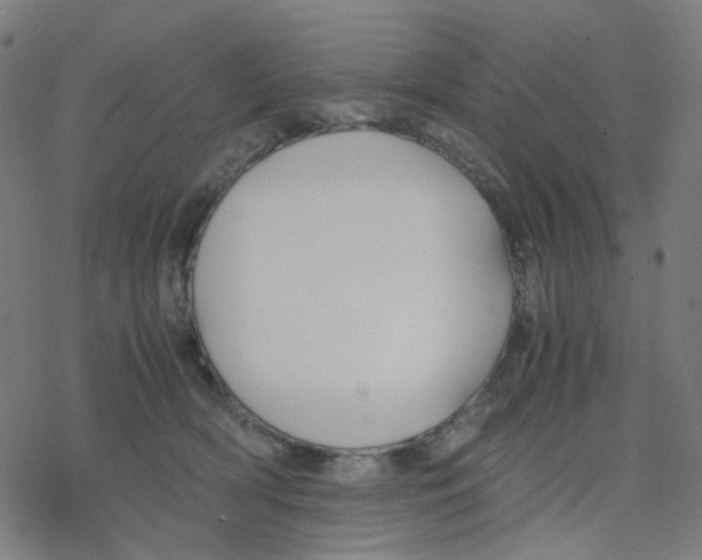 X0000078240418200612011609