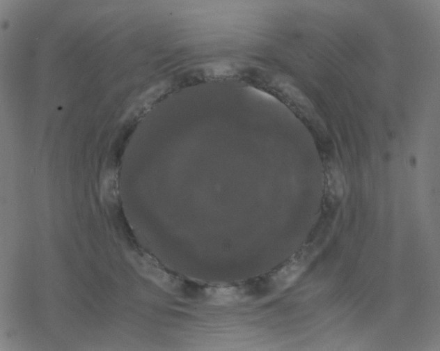 X0000078240419200612011609