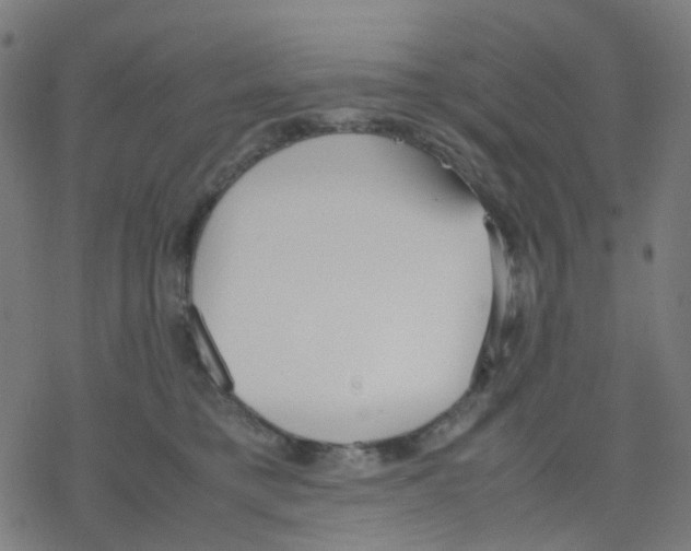 X0000078240421200612011609