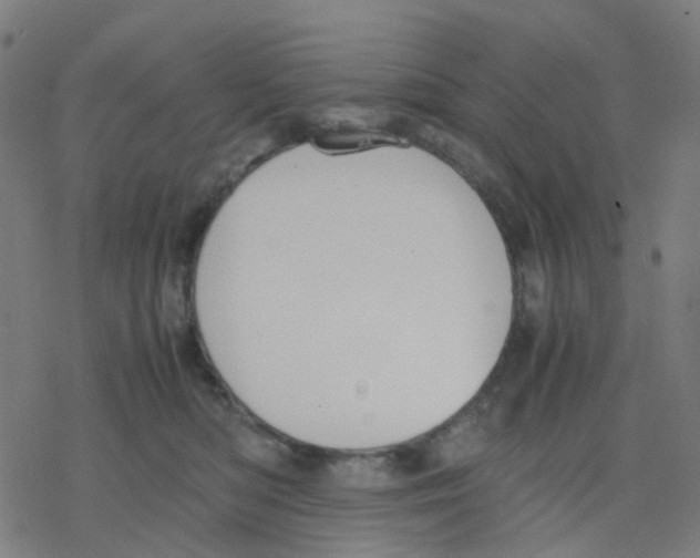 X0000078240422200612011609