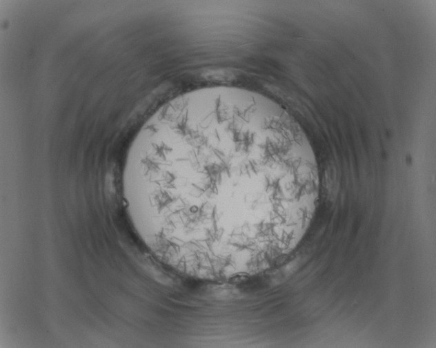 X0000078240424200612011609