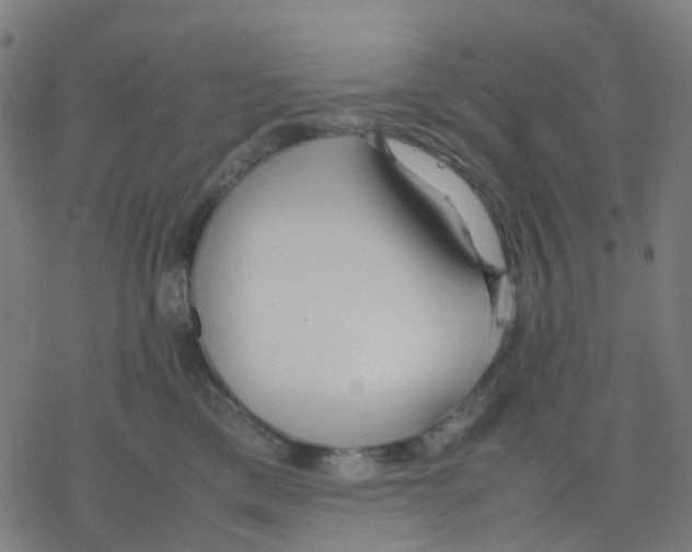 X0000078240425200612011609