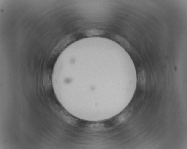 X0000078240426200612011609