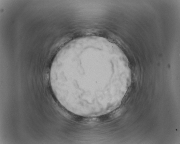 X0000078240427200612011609