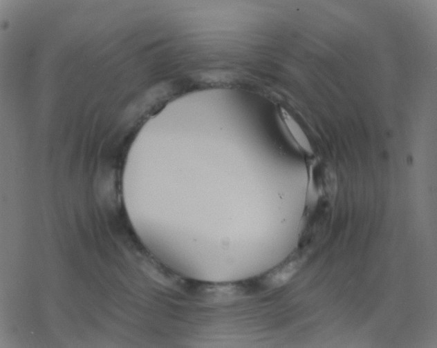 X0000078240428200612011609