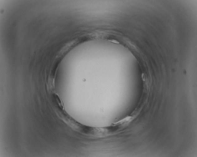 X0000078240429200612011609