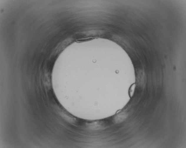 X0000078240430200612011609