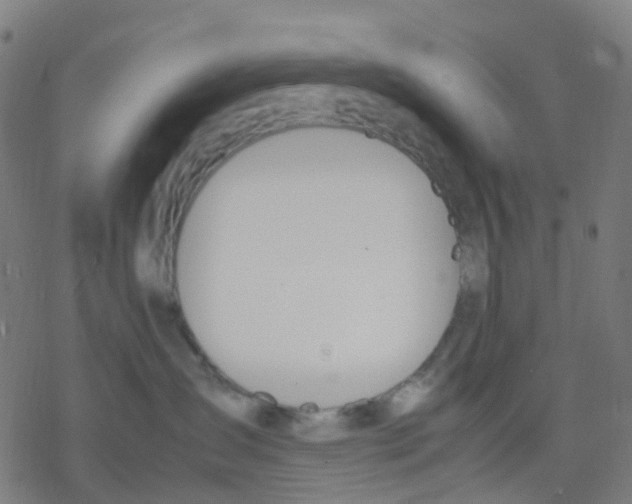 X0000078240431200612011609