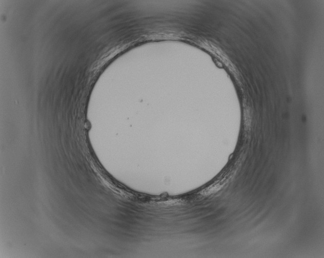 X0000078240433200612011608